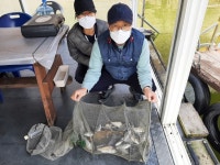 송석지낚시터 유료낚시터 > 송석지4월11일 : 낚시사랑