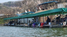 독정낚시터 유료낚시터 > 벚꽃과 저수지 그리고 물고기들의 조합이 좋네요~ : 낚시사랑