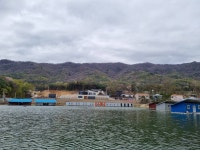 초원낚시터 유료낚시터 > ***4월14일조황소식*** : 낚시사랑