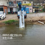용대리낚시터 유료낚시터 > 1주4회~~방류시작!! : 낚시사랑