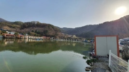 즐거운복상골 유료낚시터 > 벚꽃은 지고,이번주부터는 복상꽃 만발입니다~~~ : 낚시사랑