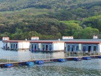 산들낚시터 유료낚시터 > 아산 산들낚시터의 4월17일에 올리는 방류및 주말 조황 모습 올립니다. : 낚시사랑