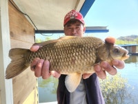 수원좌대 유료낚시터 > 사짜 두마리!! 송전지 수원좌대 조황정보 : 낚시사랑