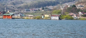 노은지 유료낚시터 > 노은지 주말 소식입니다. : 낚시사랑