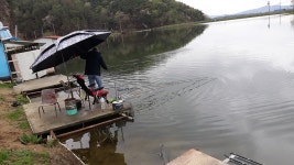 큰골낚시터 유료낚시터 > 안녕하십니까? 큰골입니다~~~ : 낚시사랑