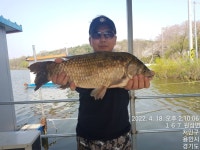 사암지(용담낚시터) 유료낚시터 > 2022년 04월 넷째주 조황정보 용담낚시터/사암지 : 낚시사랑