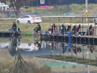 남전지기 유료낚시터 > 낚시초짜도 마릿수~ : 낚시사랑