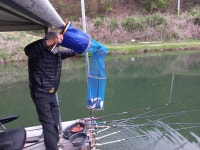 산들낚시터 유료낚시터 > 아산 산들낚시터의 4월24일에 올리는 주말 조황 모습 입니다. : 낚시사랑