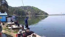 큰골낚시터 유료낚시터 > 안녕하십니까? 큰골입니다~~~ : 낚시사랑