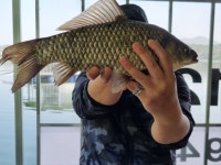 송전집좌대 유료낚시터 > 송전지 송전 좌대(송전집) 조황정보 : 낚시사랑