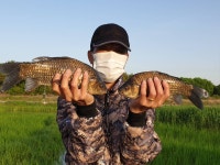 성호낚시터 유료낚시터 > 이천성호낚시터 4월27일 조황정보. : 낚시사랑