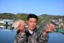 내동지 유료낚시터 > *** 4짜 터졌다 *** : 낚시사랑