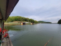 삼인낚시터 유료낚시터 > 가깝고 물좋고 경치 좋은곳~~!!-용인삼인낚시터- : 낚시사랑