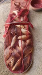 장광낚시터 유료낚시터 > 안성[장광] 5 월 5 일~~~조황소식~~~전구간... 장광낚시터 유료낚시터 >  안성[장광] 5 월 5 일~~~조황소식~~~전구간 터지기... 