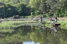 토종대물항곡지 유료낚시터 > 꾸준히 이어지는 조황소식알려드립니다 : 낚시사랑