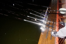 유료터정보 > 유료터점주조황 > 포천 용담의 야무진 손맛