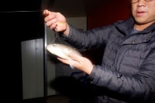 유료터정보 > 유료터점주조황 > 포천 용담의 야무진 손맛