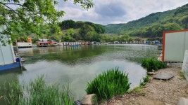 즐거운복상골 유료낚시터 > 산란시작~~~ : 낚시사랑