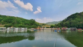 즐거운복상골 유료낚시터 > 산란시작~~~ : 낚시사랑