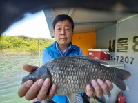 서울좌대 유료낚시터 > 송전지서울좌대5월7일조항 : 낚시사랑