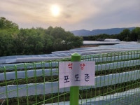 우금낚시공원 유료낚시터 > 답답힘속에 한주를보내고~~ : 낚시사랑