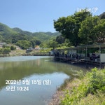 양평그린낚시터 유료낚시터 > 양평 그린낚시터 5/14~5/15 조황 정보 및 방류 소식 : 낚시사랑