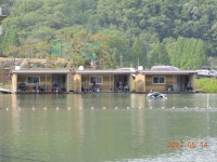 대석낚시터 유료낚시터 > 오세요.. 잘 나오고 있습니다.. : 낚시사랑