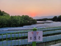 우금낚시공원 유료낚시터 > 재미지게 나옵니다. : 낚시사랑