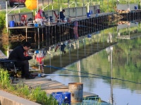 남전지기 유료낚시터 > 주중조황 및 방류소식 : 낚시사랑