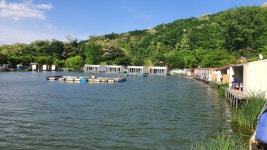 즐거운복상골 유료낚시터 > 장어 방류 시작합니다~~~ : 낚시사랑