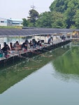 진우낚시터 유료낚시터 > 주말조황정보입니다... : 낚시사랑