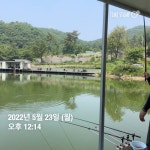 양평그린낚시터 유료낚시터 > 양평 그린낚시터 5/22~5/23 조황 정보 및 방류 소식 : 낚시사랑