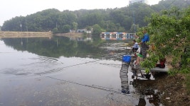 큰골낚시터 유료낚시터 > 안녕하십니까? 큰골입니다~~~ : 낚시사랑