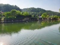양평메기전용피쉬랜드 유료낚시터 > 5월 28일 메기전용낚시터//철갑상어 28수방류 이벤트 장어 방류 사진입니다 : 낚시사랑