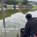 양평그린낚시터 유료낚시터 > 양평 그린낚시터 5/28~5/29 조황 정보 및 방류 소식 : 낚시사랑