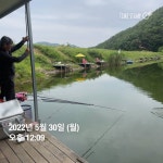 양평그린낚시터 유료낚시터 > 양평 그린낚시터 5/29~5/30 조황 정보 및 방류 소식 : 낚시사랑