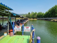 삼하낚시터 유료낚시터 > ## (삼하) 임시공휴일 방류와 조항 ## : 낚시사랑