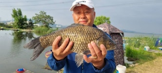 토종계양낚시터 유료낚시터 > ooo 44cm 토종붕어 ooo : 낚시사랑