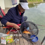 양평그린낚시터 유료낚시터 > 양평 그린낚시터 5/30~5/31 조황 정보 및 방류 소식 : 낚시사랑