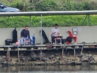 남전지기 유료낚시터 > 주중조황 및 방류소식 : 낚시사랑