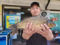우금낚시공원 유료낚시터 > 재미지는 호조황의 연속입니다. : 낚시사랑