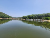 삼인낚시터 유료낚시터 > 가깝고 물좋고 경치 좋은곳~~!!-용인삼인낚시터- : 낚시사랑