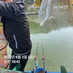 양평그린낚시터 유료낚시터 > 양평 그린낚시터 6/2~6/3 조황 정보 및 방류 소식 : 낚시사랑