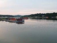 성호낚시터 유료낚시터 > 이천성호낚시터 6월5일 조황정보. : 낚시사랑