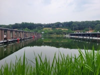 우금낚시공원 유료낚시터 > 주말 연휴조황안내 : 낚시사랑