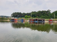 성호낚시터 유료낚시터 > 이천성호낚시터 6월10일 조황정보. : 낚시사랑