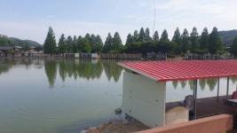 안성 거청낚시터 유료낚시터 > 6월 10 일 배수없는 안성 거청낚시터 붕어조황 : 낚시사랑