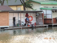 대석낚시터 유료낚시터 > 방류와 주중 스케치..(아주 잘 나와요..)식당 정상운영 합니다. : 낚시사랑