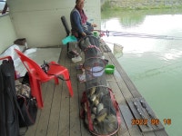 오빈낚시터 유료낚시터 > **** 자리편차 없이 아주좋은 조황보이고 있습니다**** : 낚시사랑