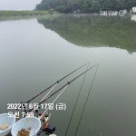 양평그린낚시터 유료낚시터 > 양평 그린낚시터 6/16~6/17 조황 정보 및 방류 소식 : 낚시사랑